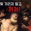 시노프