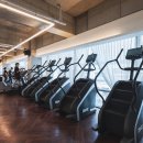 매드볼릭 이미지