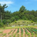 백석마을경로당 이미지