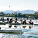 조정체험학교 이미지