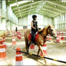 운주산농장 이미지