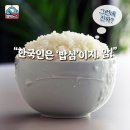 밥심 Daum카페