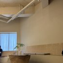 도야카페 | 리트리버가 있는 강원도 동해 묵호시장 감성 카페 도야하우스 주말방문후기
