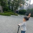[어린이날 선물] 스쿳앤라이드 킥1(붕붕카/킥보드) 구매 후기