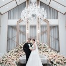 펠리체타워2 이미지