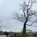[서산/태안] 긴 연휴 짧은 서해안 나들이 2