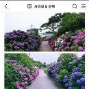 동광리-8 이미지