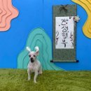 당가두로 38번길 이미지