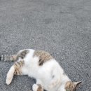 정성한의원 이미지