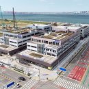 경기 관상어 이미지