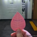 한밭뽑기방 | [5월 일상] 대전 가족나들이 코스 | 한밭수목원·곤충생태관·천연기념물센터·담양애떡갈비