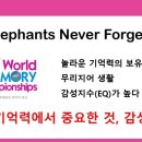 어린이서점 이미지