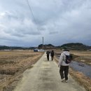 상운리 농로 네이버블로그