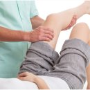 365열린우리의원 이미지