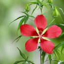 8월13일 목요일 간추린 뉴스와날씨 별자리운세 이미지