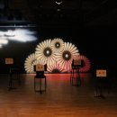 꽃이 피고 비가 내리면 이미지