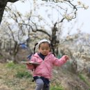 신내농장 이미지