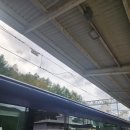 황지고등학교 | 태백 맛집 - 해랑으로 2박 3일 전국일주 한우의 고장 태백에서 맛보는 태백 한우 맛집 태백 한우골 실비...