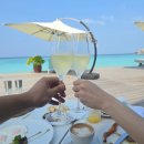 오션컴퍼스 이미지