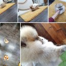 스테이 모량 이미지