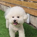 장승준동물치과병원 이미지