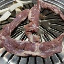 초원갈매기 이미지