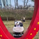 강진터미널 (CU편의점) | 논산딸기축제 후기 🍓 주차 여기로 가세요 (입구 5분컷 / 마지막날 방문 예정이라면 8:30 전 도착 필수)