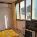 돌 민박 이미지