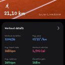 이천시 종합운동장 족구장 | 2026 제27회 이천 도자기 마라톤 대회 후기