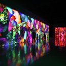 아이로제주 이미지