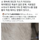 소 뱃속에 차오른 메탄 가스 태우기 이미지