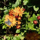 나래 행정사 사무소 이미지