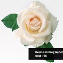 미리내의원 이미지