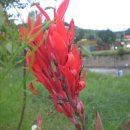 수동면 운수3리 이미지