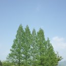 조일크리닝 | 나의 카메라 연대기 -2 [96M] 리코 GR, GR2 – 다시 카메라에 입문