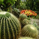 안산 식물원 이미지