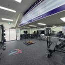 탄천종합운동장(주경기장) 이미지