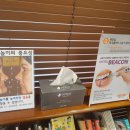 오스톤치과의원 이미지