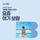 태인카서비스 | 보람 뉴스레터 "요즘, 여기, 보람" – 열네 번째 이야기
