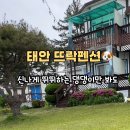 펫뜨락 네이버블로그