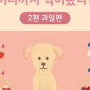 도담도담동물병원 이미지