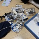 누니보배