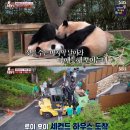 둘만농장 이미지