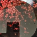 바위솔민박 이미지