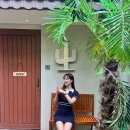 알파짱 코인노래연습장 이미지