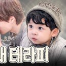 꼬순내 이미지
