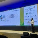 발란스코리아 이미지