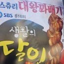 꽈배기상회 이미지