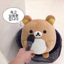 내 발로 벅뚜벅뚜 대학원으로 들어가다니