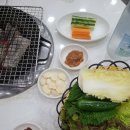 산호아나고꼼장어 이미지